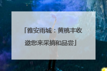 雅安雨城：黄桃丰收 邀您来采摘和品尝